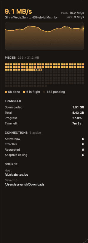 The inspector panel at full size: current speed with peak and average, the piece map with done, in-flight and pending counts, transfer totals, and the connection breakdown.
